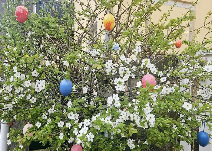 Elbkiez - Stilvoll, Modern, Lage, Elbnah! * Δρέσδη