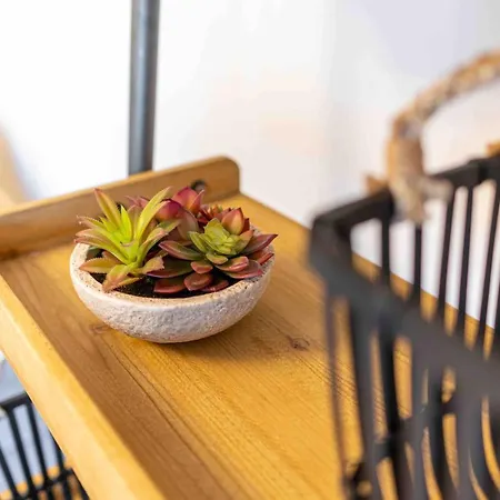 Apartment Elbkiez - Stilvoll, Modern, Top Lage, Elbnah! Διαμέρισμα Δρέσδη