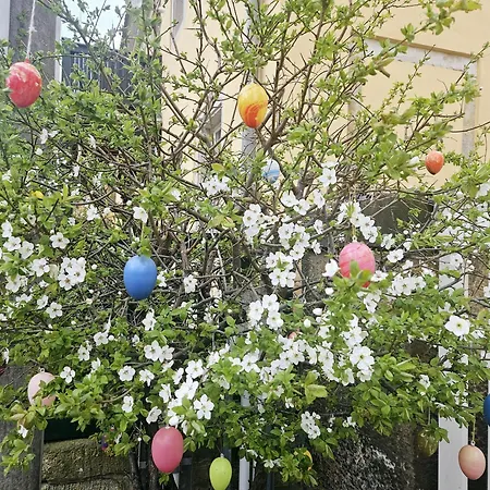 Elbkiez - Stilvoll, Modern, Lage, Elbnah! * 德累斯顿