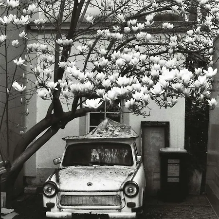 Elbkiez - Stilvoll, Modern, Lage, Elbnah! Appartamento *