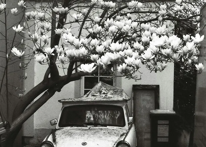 Elbkiez - Stilvoll, Modern, Lage, Elbnah! Appartamento *